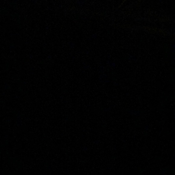 Meet your Posher, Riley - Picture 1 of 1